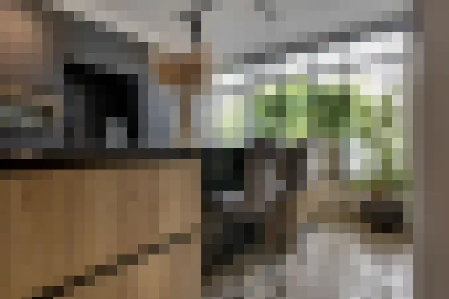 Diepenbrockstraat 14 Zevenaar thumbnail 21