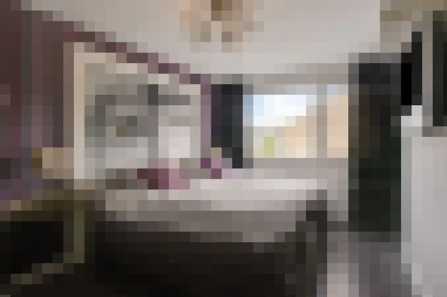 Diepenbrockstraat 14 Zevenaar thumbnail 25