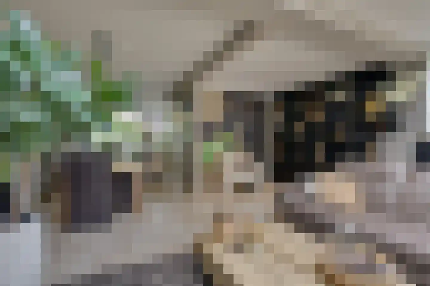 Diepenbrockstraat 14 Zevenaar thumbnail 4