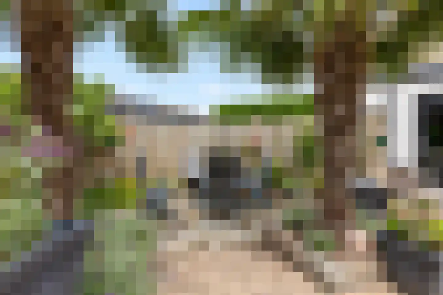 Diepenbrockstraat 14 Zevenaar thumbnail 41
