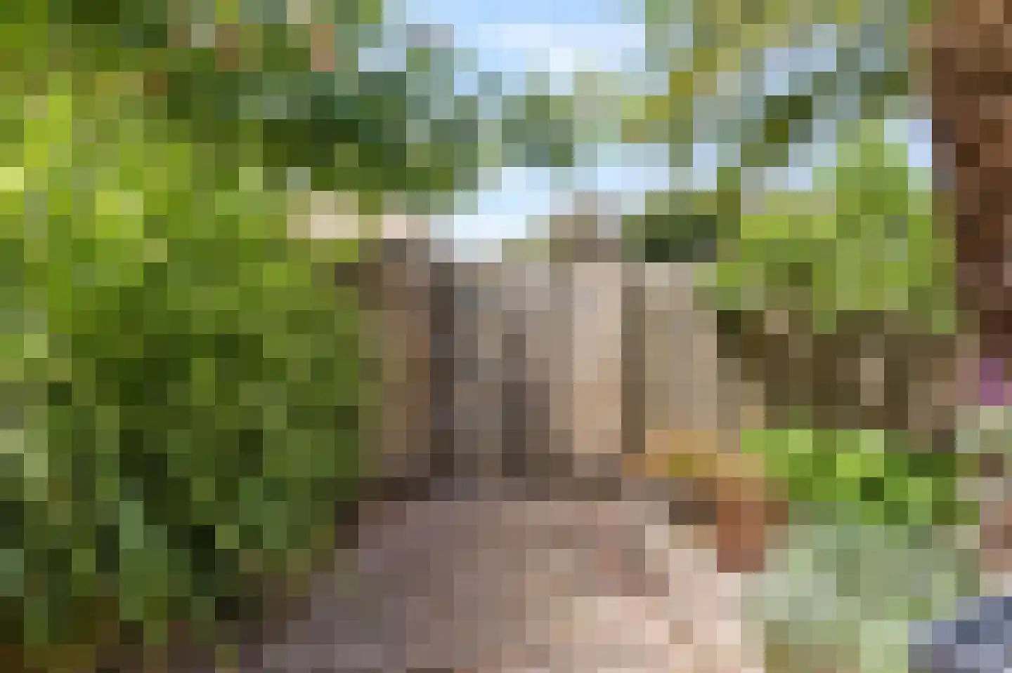 Diepenbrockstraat 14 Zevenaar thumbnail 46