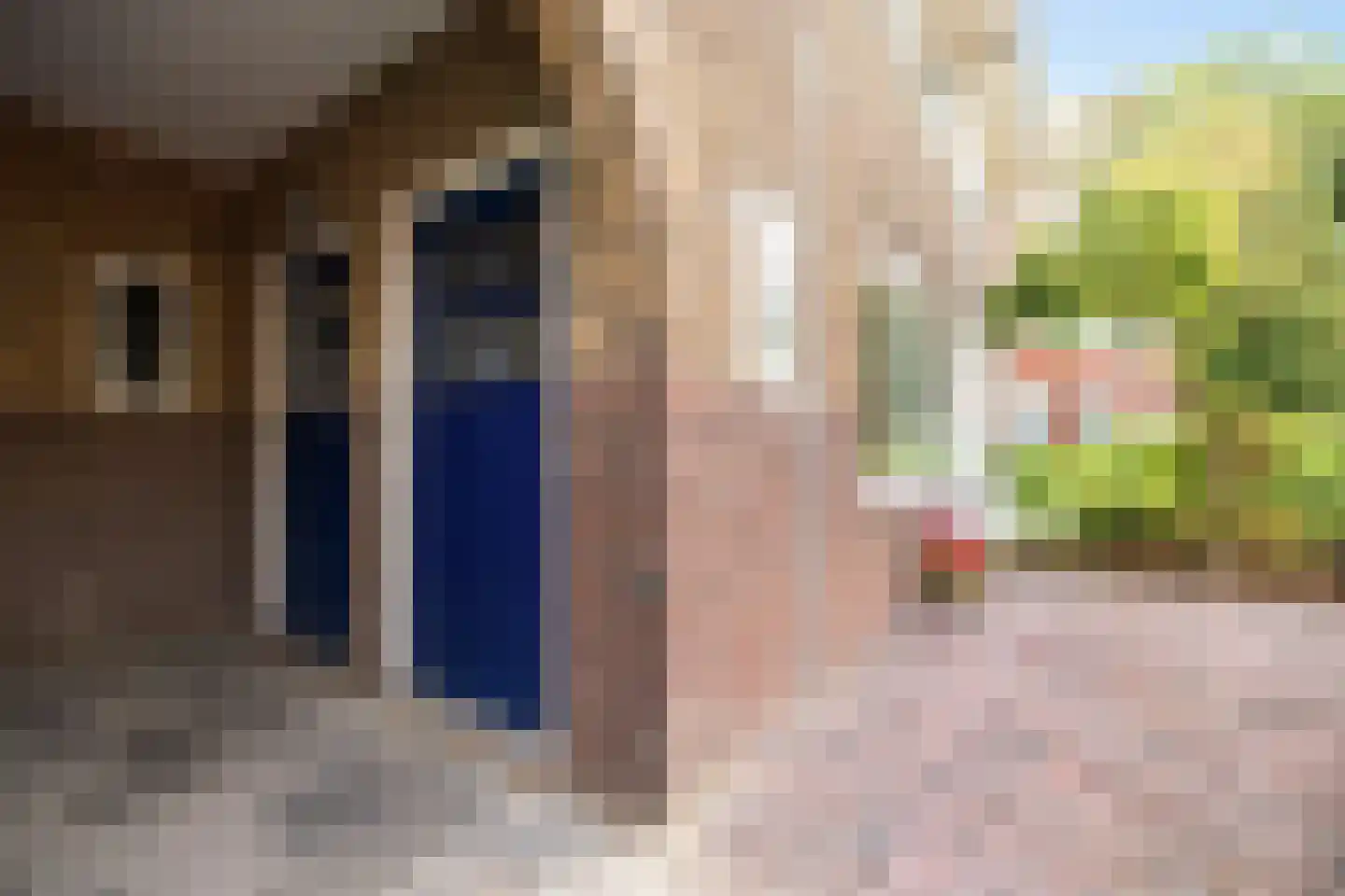 Diepenbrockstraat 16 Leeuwarden thumbnail 24