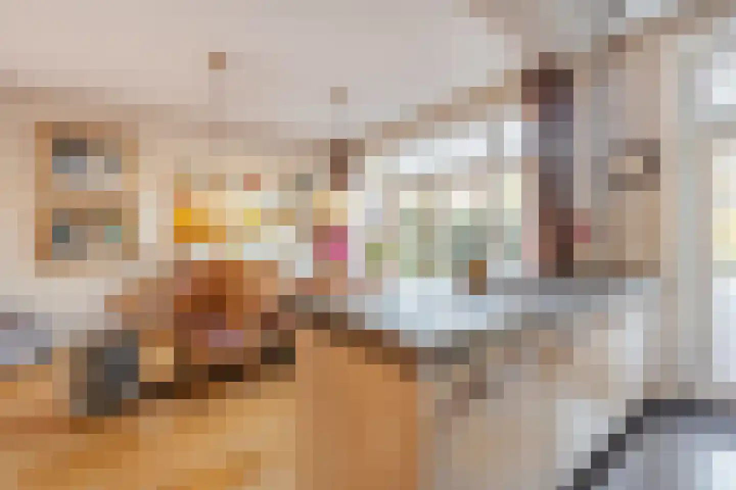 Diepenbrockstraat 18 Amsterdam thumbnail 17