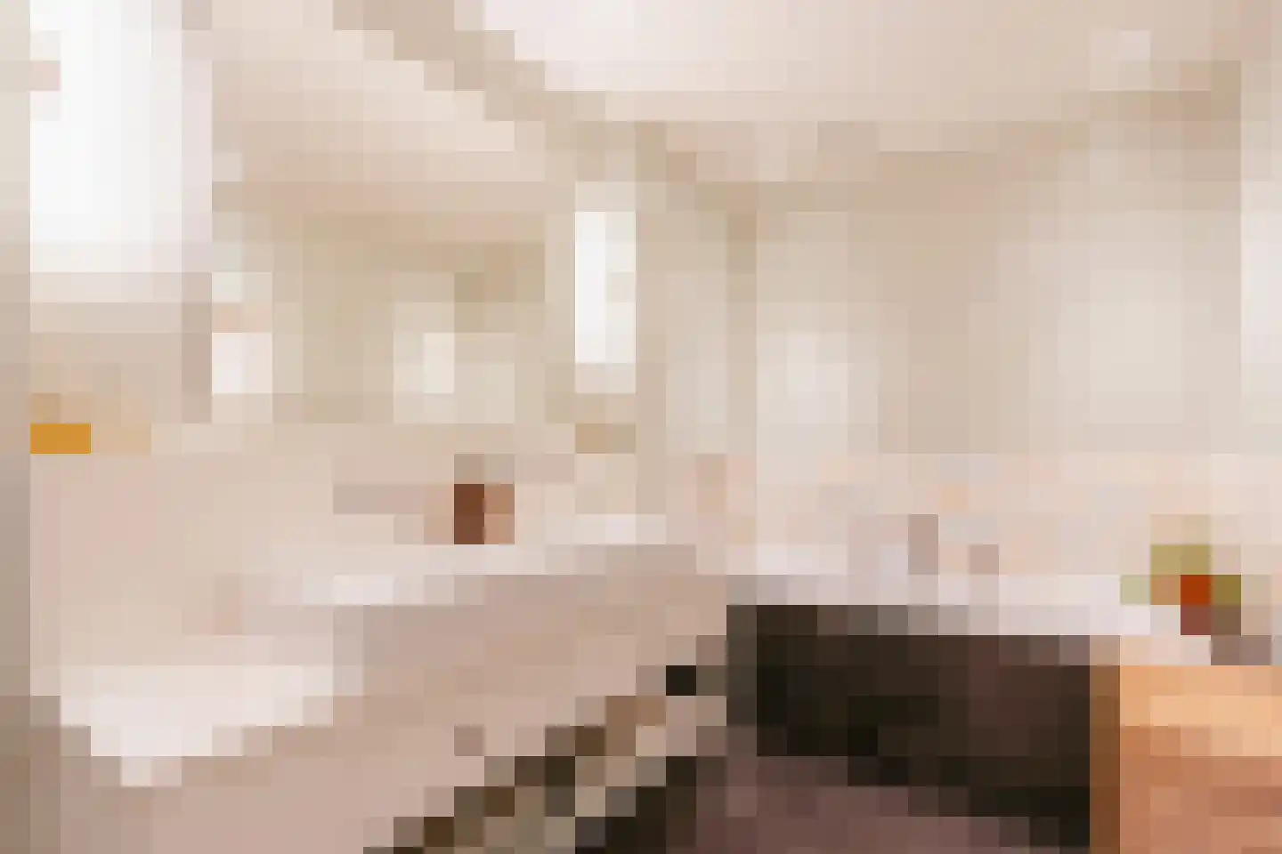 Diepenbrockstraat 18 Amsterdam thumbnail 34