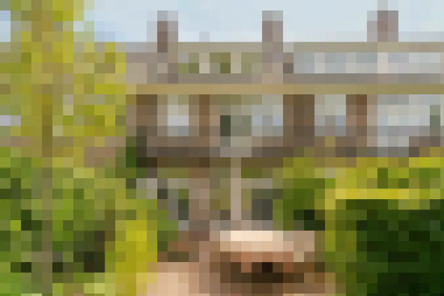 Diepenbrockstraat 18 Amsterdam thumbnail 4