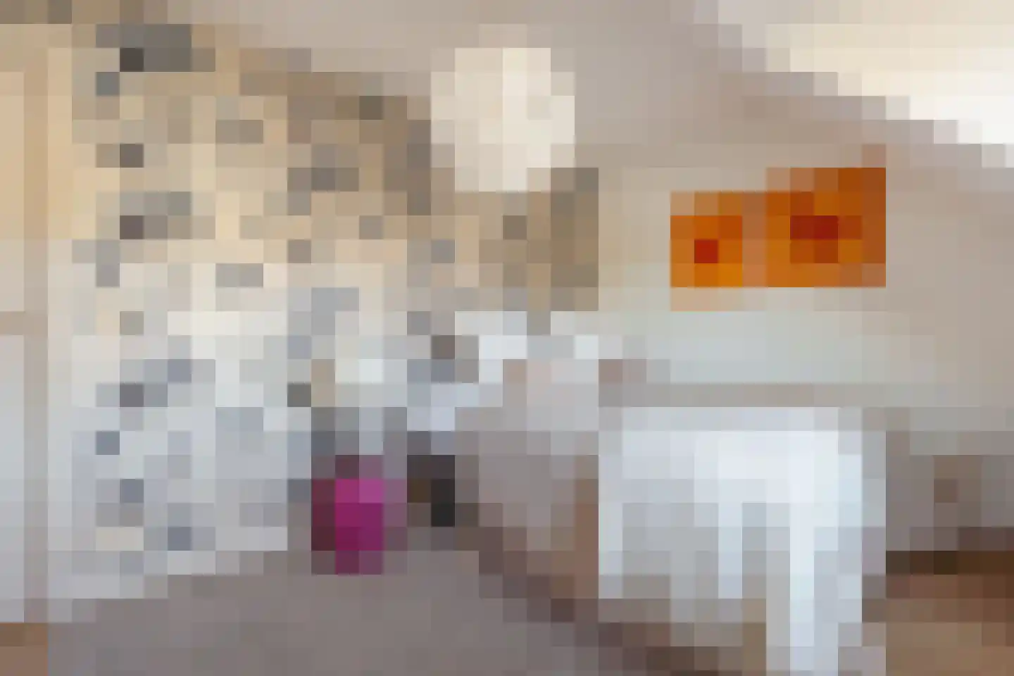 Diepenbrockstraat 18 Amsterdam thumbnail 44