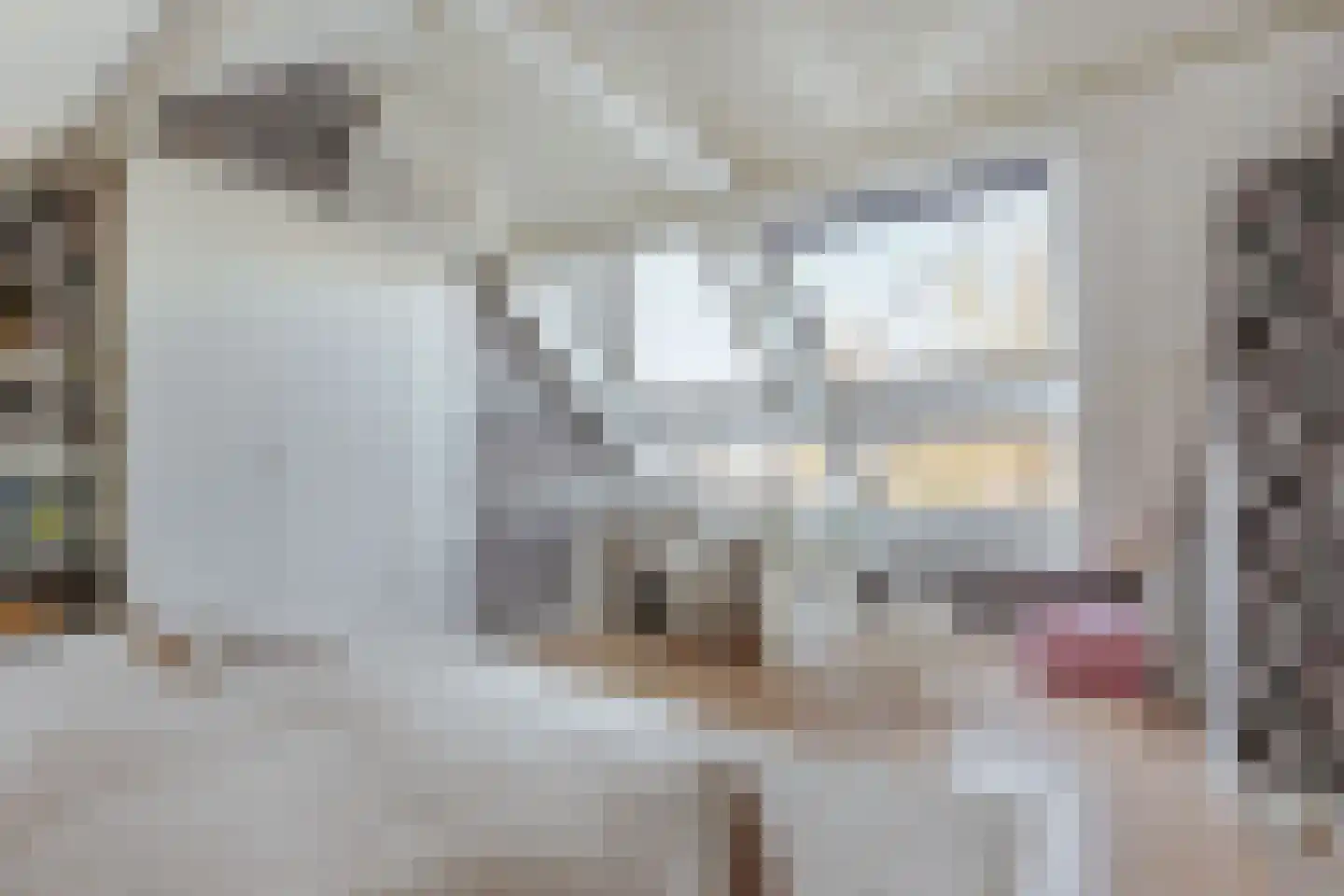 Diepenbrockstraat 18 Amsterdam thumbnail 53