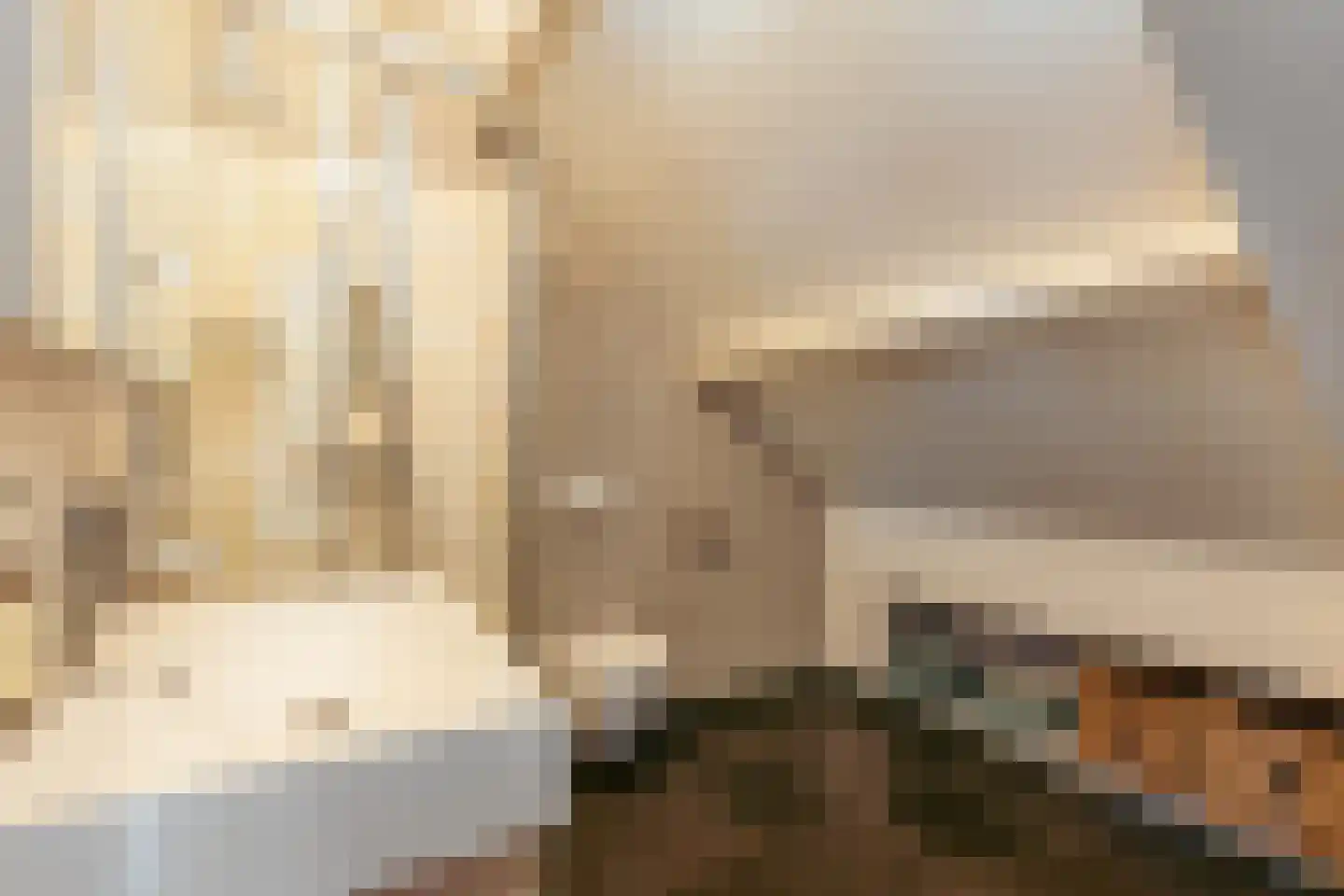 Diepenbrockstraat 18 Amsterdam thumbnail 55