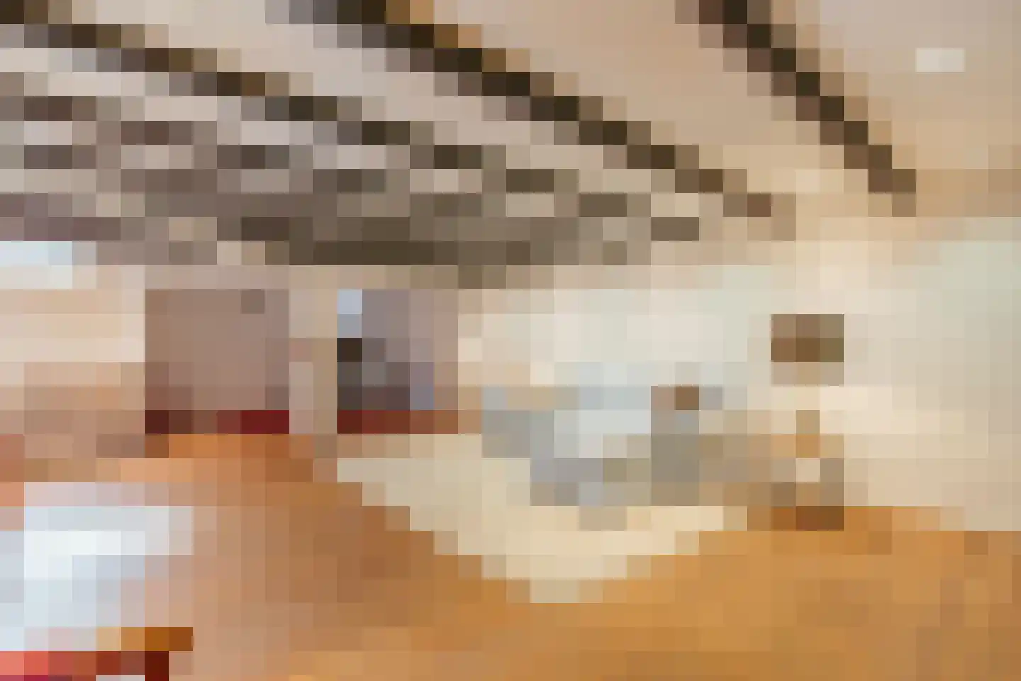 Diepenbrockstraat 18 Amsterdam thumbnail 58