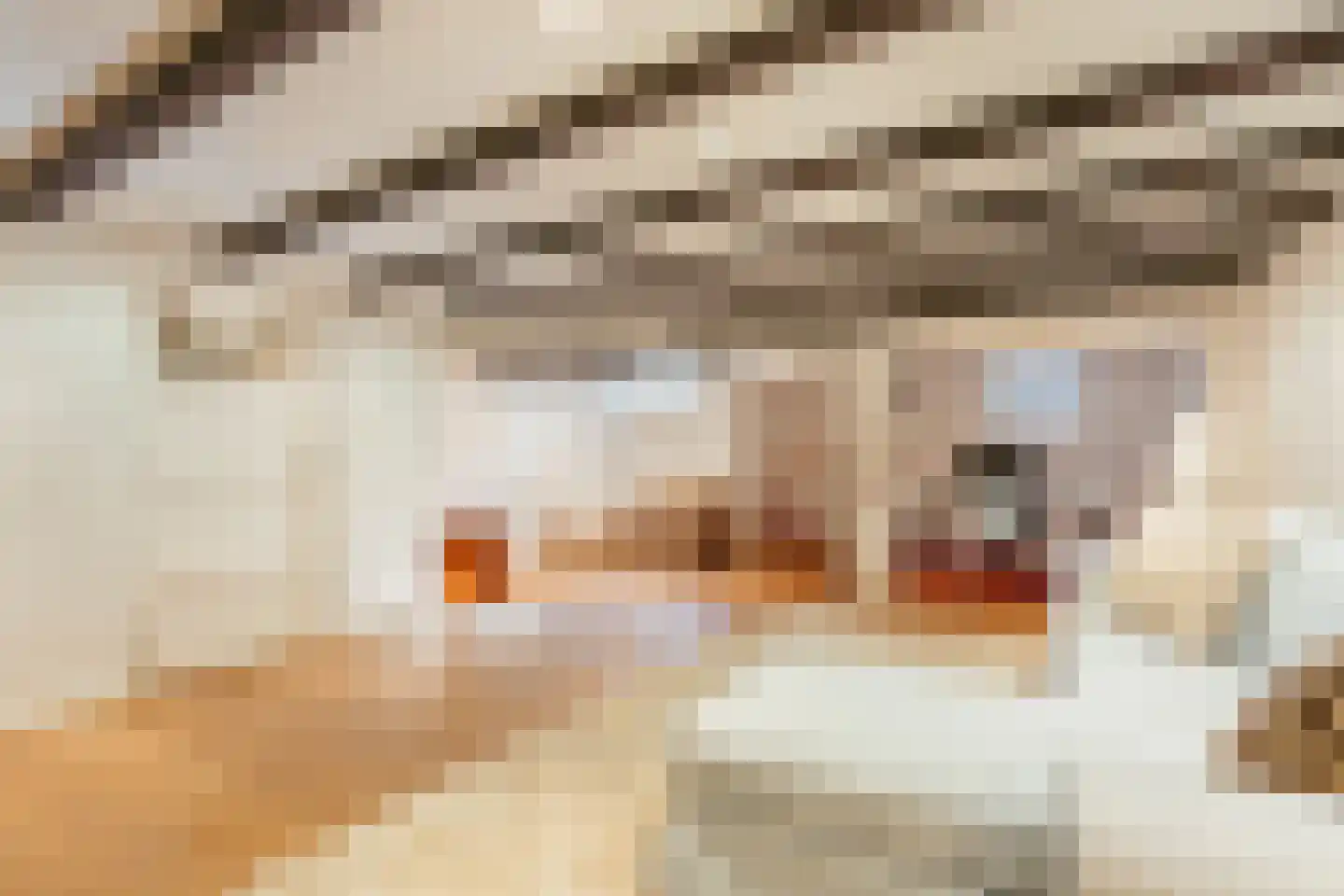 Diepenbrockstraat 18 Amsterdam thumbnail 59