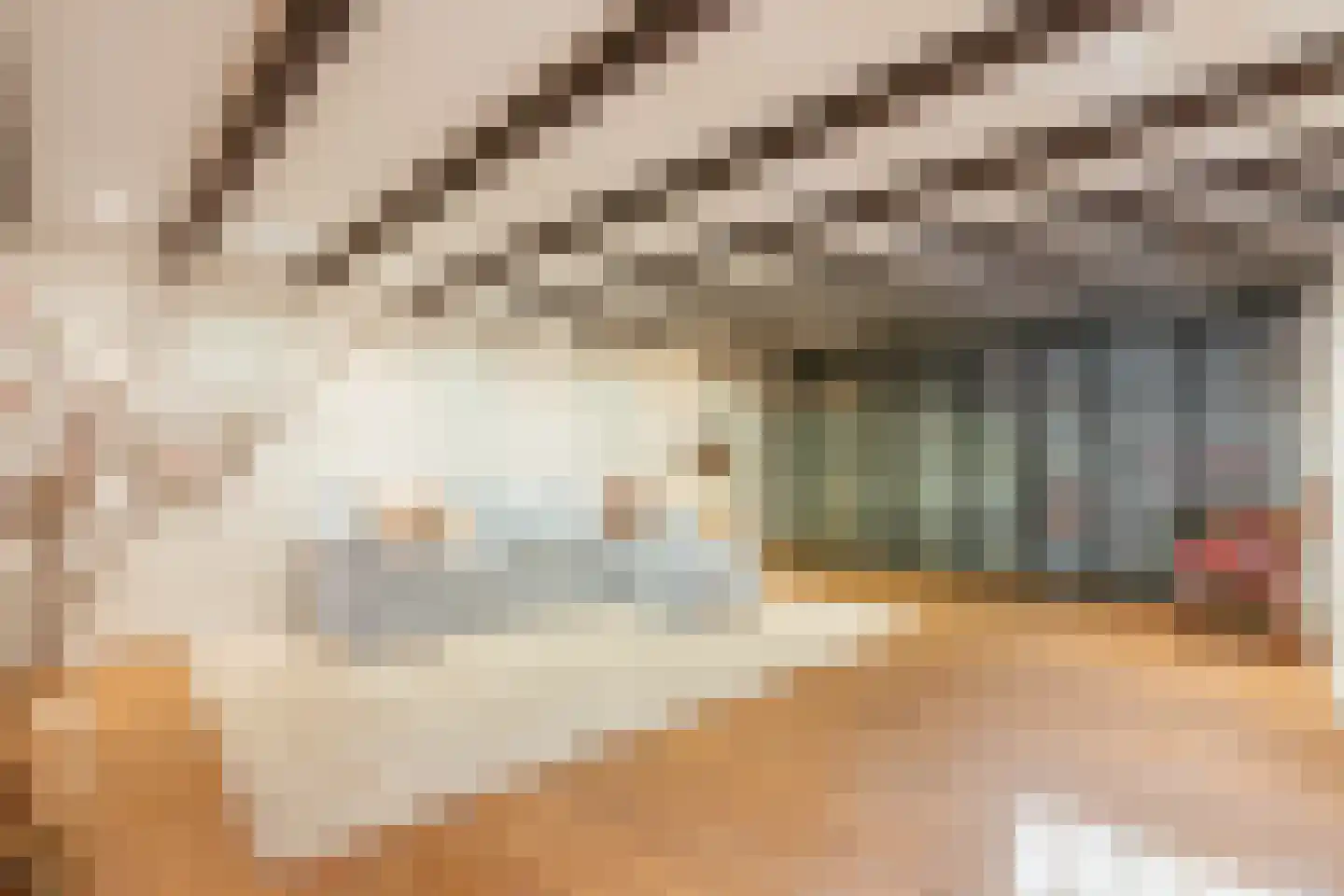 Diepenbrockstraat 18 Amsterdam thumbnail 60