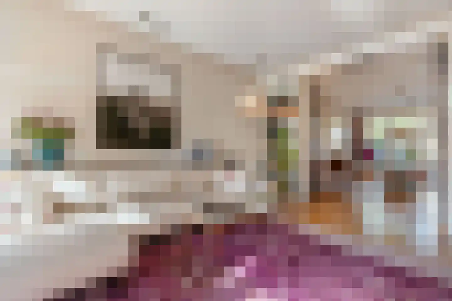 Diepenbrockstraat 18 Amsterdam thumbnail 8