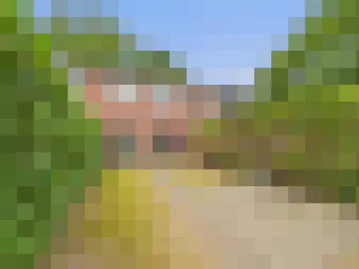 Diepenbrockstraat 18 Terneuzen thumbnail 24