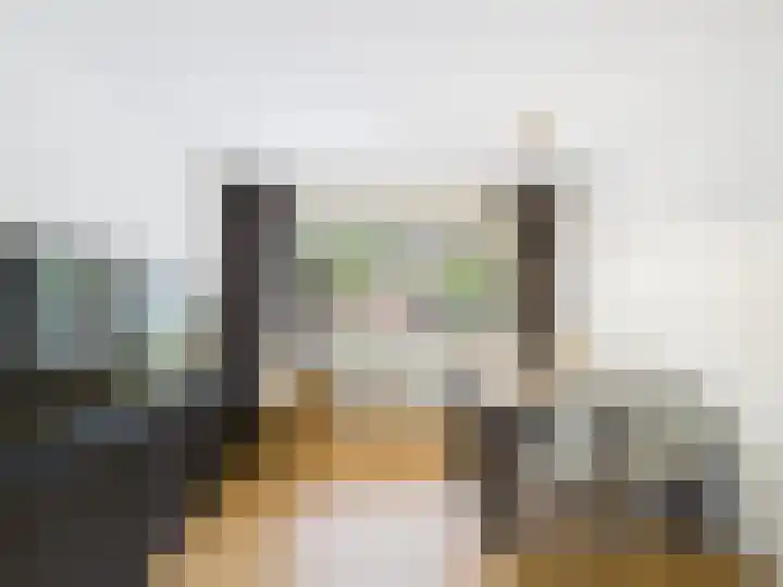Diepenbrockstraat 18 Terneuzen thumbnail 5