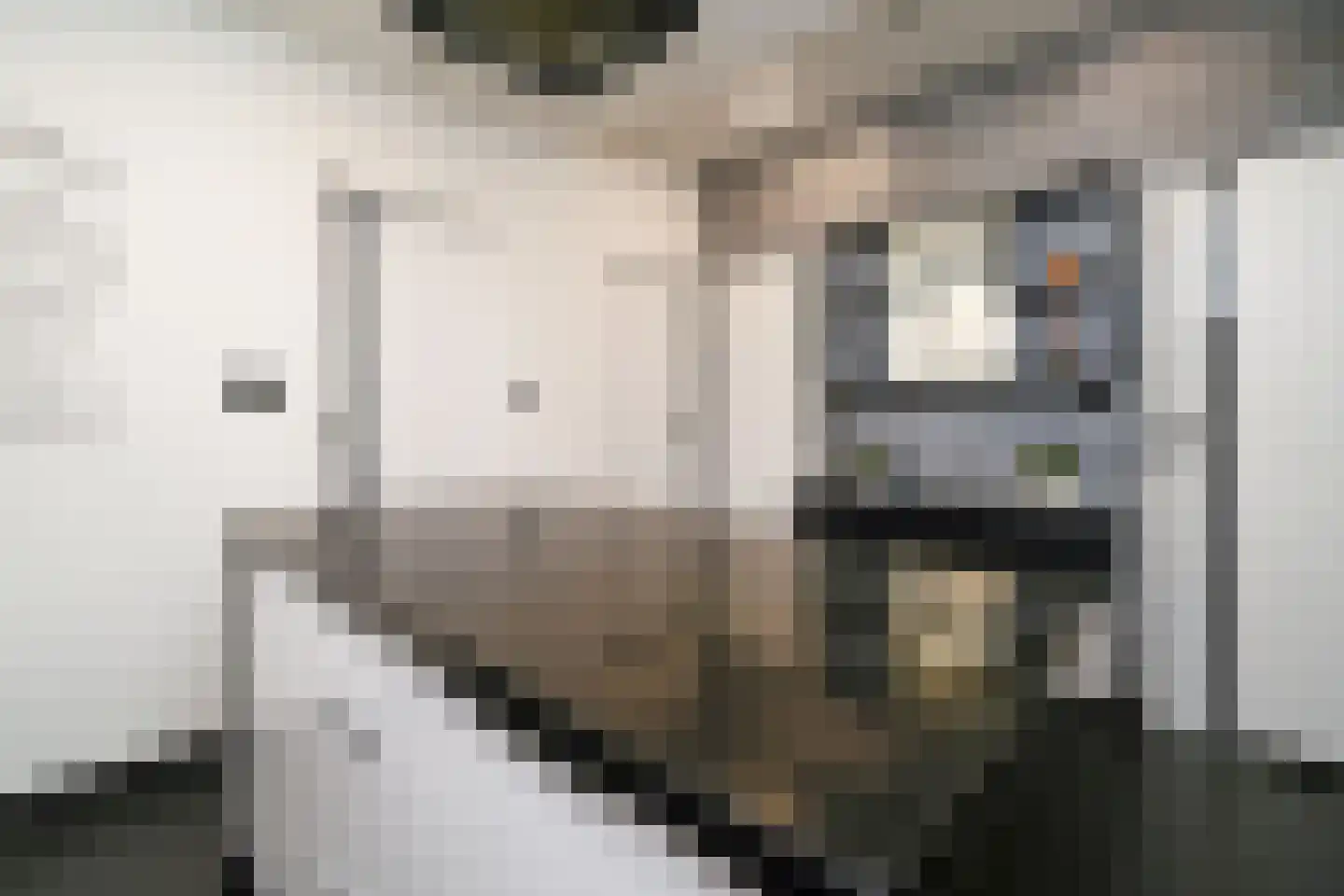 Diepenbrockstraat 19 Vlaardingen thumbnail 17