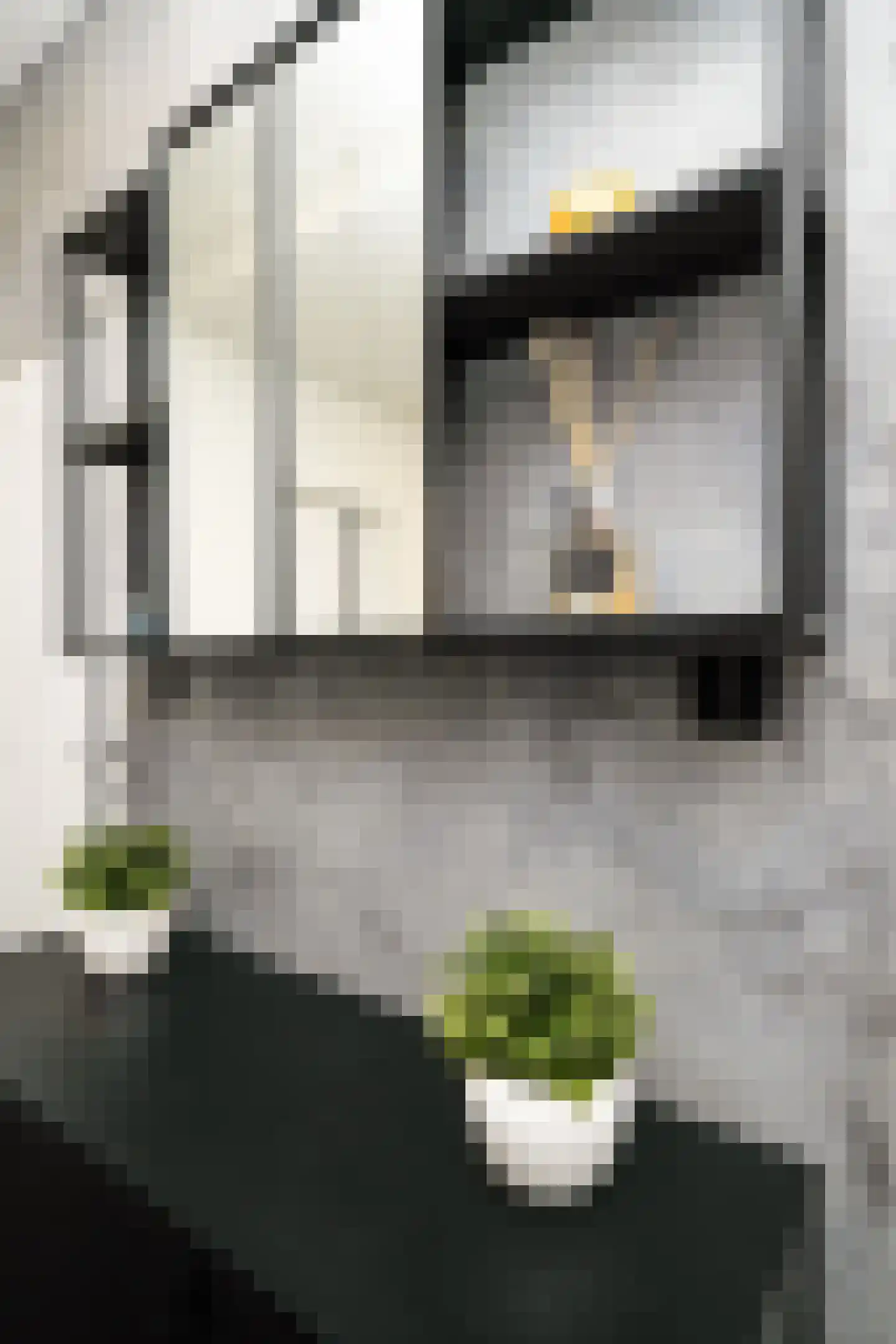 Diepenbrockstraat 19 Vlaardingen thumbnail 21