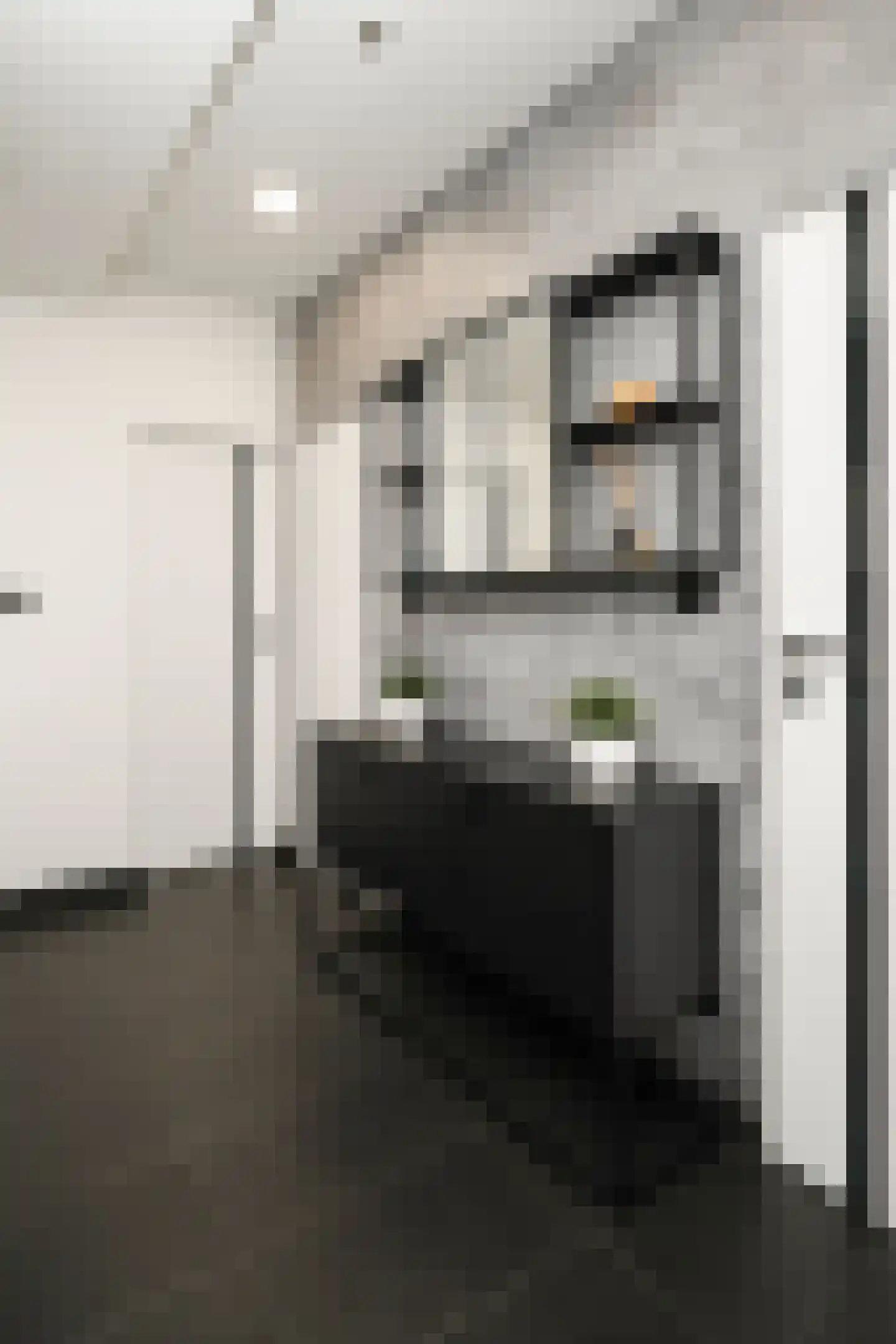 Diepenbrockstraat 19 Vlaardingen thumbnail 22