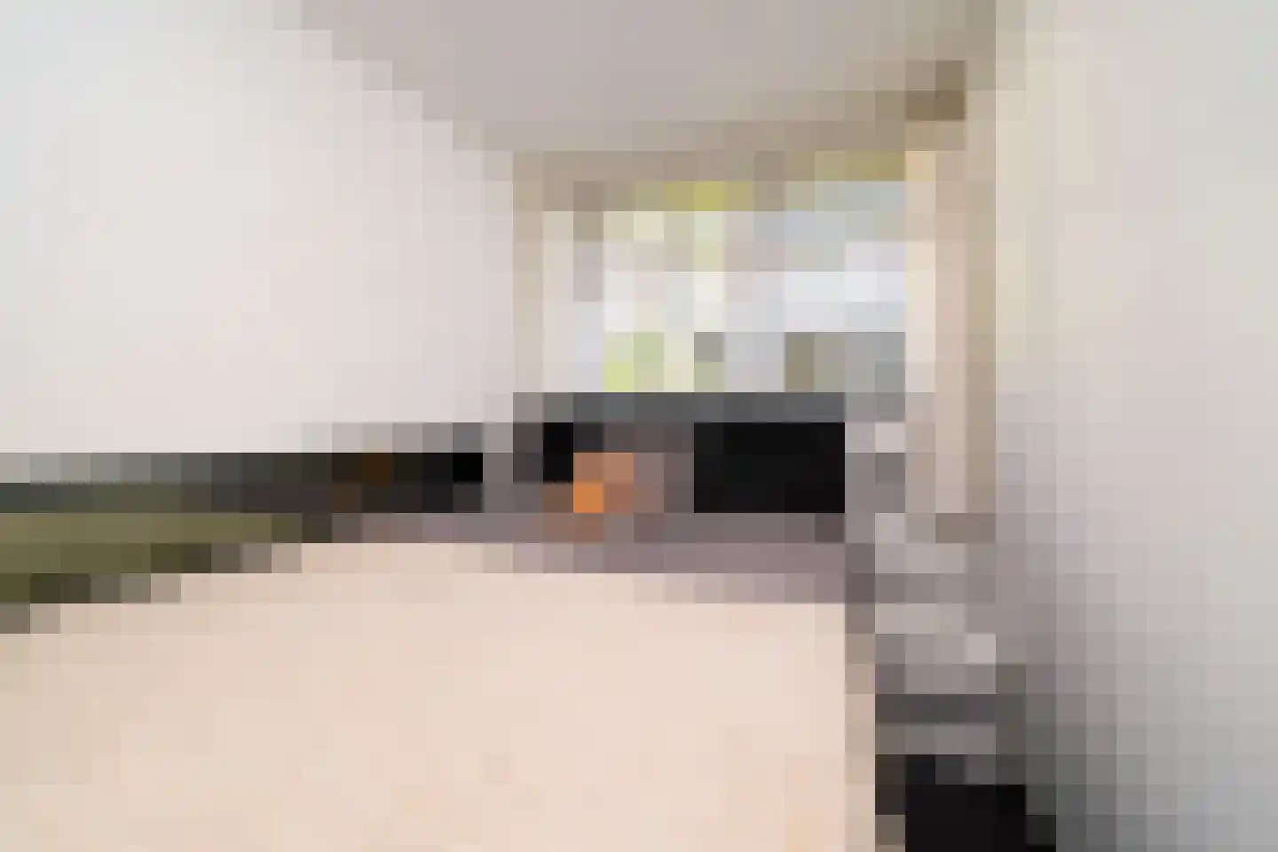 Diepenbrockstraat 19 Vlaardingen thumbnail 36