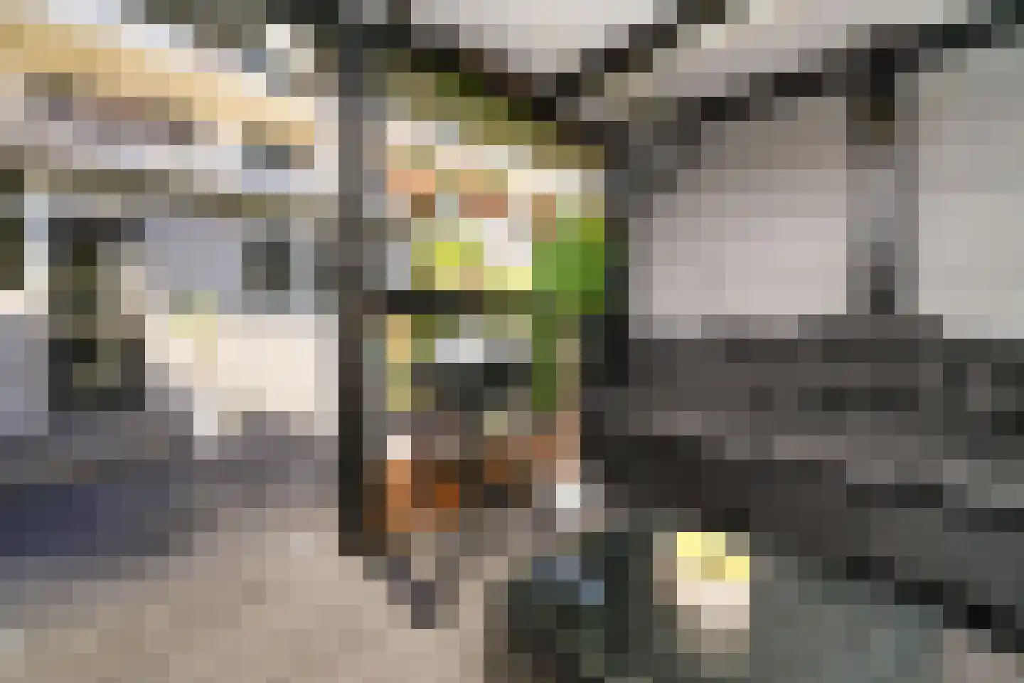 Diepenbrockstraat 19 Vlaardingen thumbnail 39