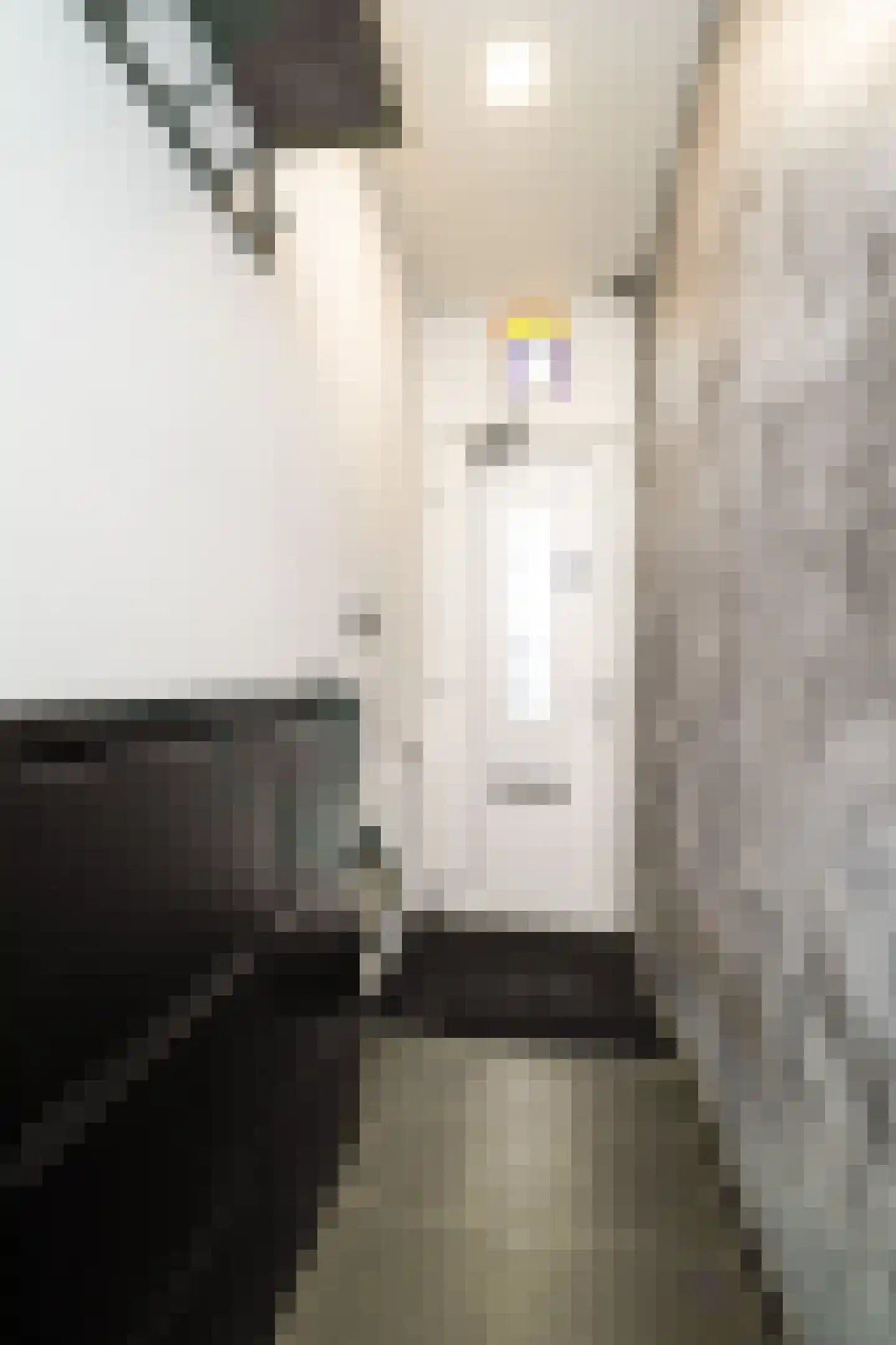 Diepenbrockstraat 19 Vlaardingen thumbnail 8
