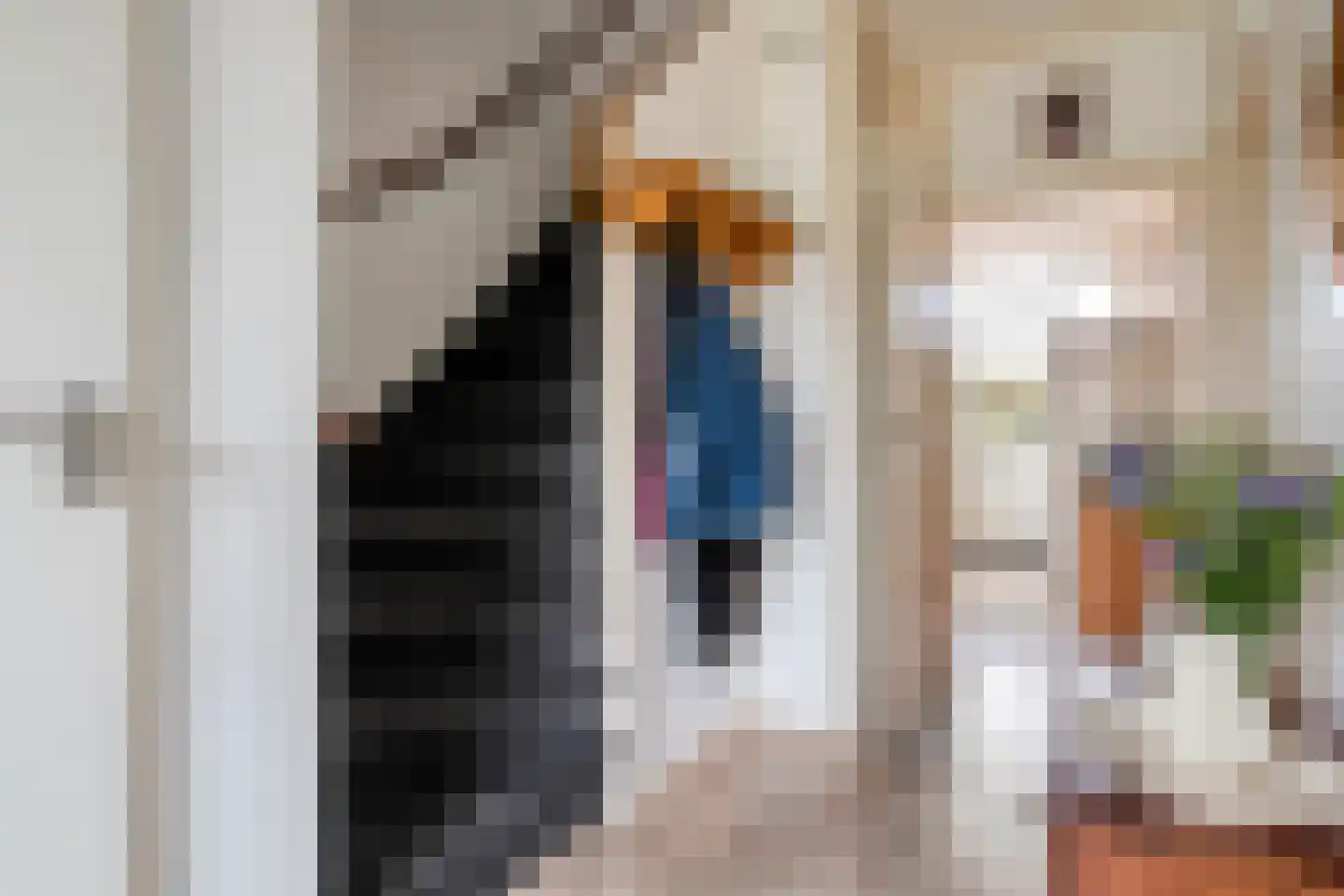 Diepenbrockstraat 20 Dedemsvaart thumbnail 10
