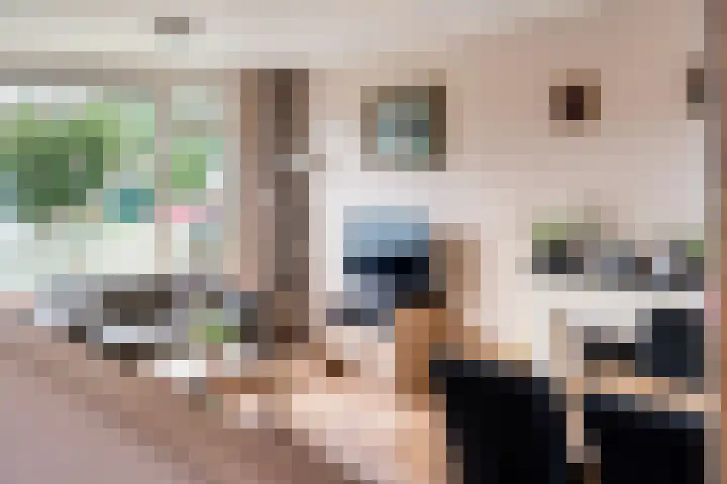 Diepenbrockstraat 20 Dedemsvaart thumbnail 13
