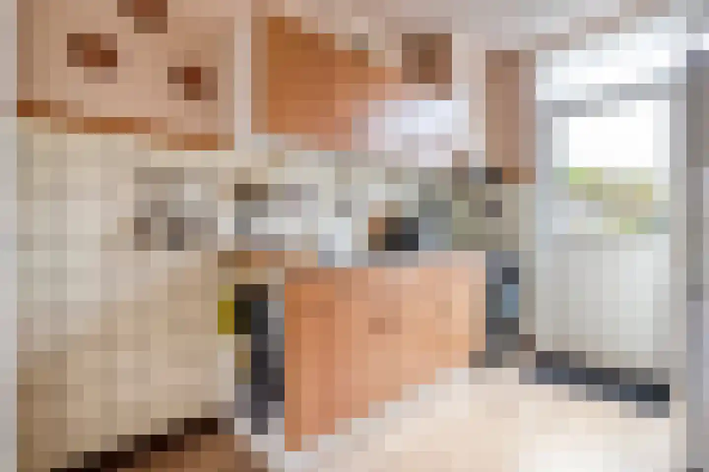 Diepenbrockstraat 20 Dedemsvaart thumbnail 17
