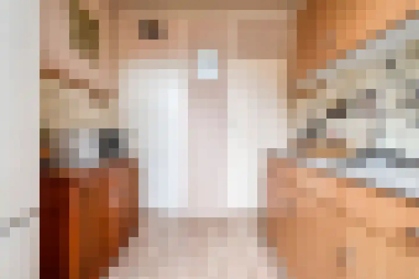 Diepenbrockstraat 20 Dedemsvaart thumbnail 18