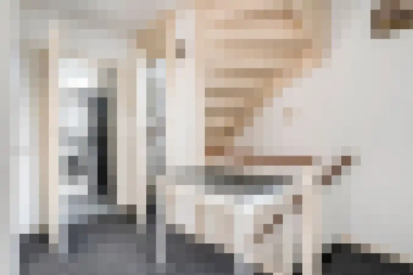 Diepenbrockstraat 20 Dedemsvaart thumbnail 19