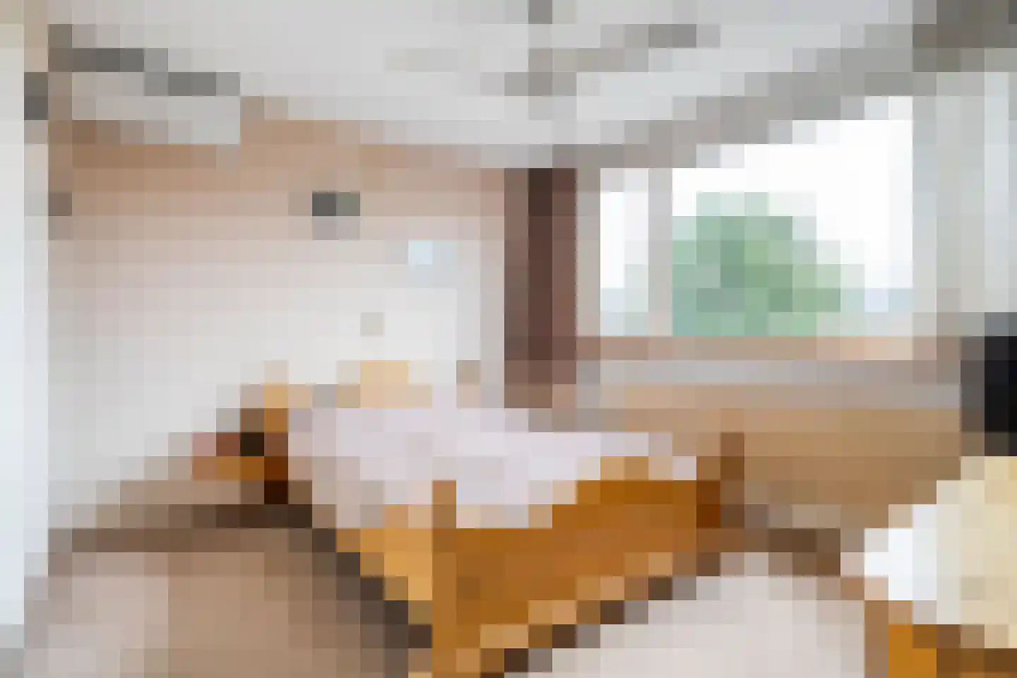Diepenbrockstraat 20 Dedemsvaart thumbnail 23