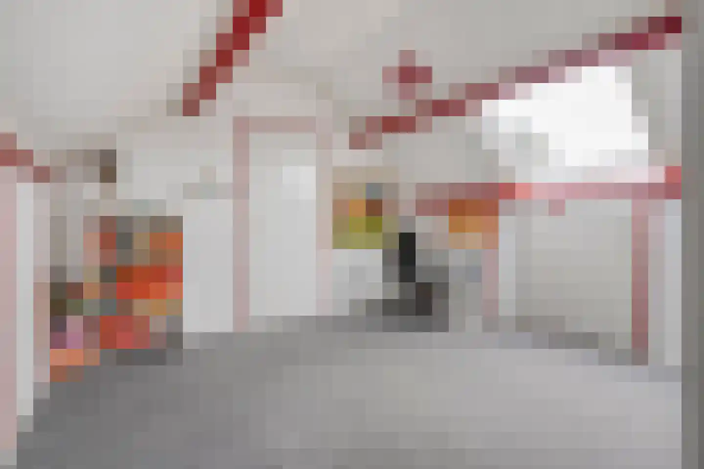 Diepenbrockstraat 20 Dedemsvaart thumbnail 32