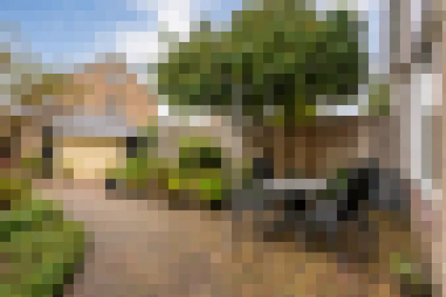 Diepenbrockstraat 20 Dedemsvaart thumbnail 33