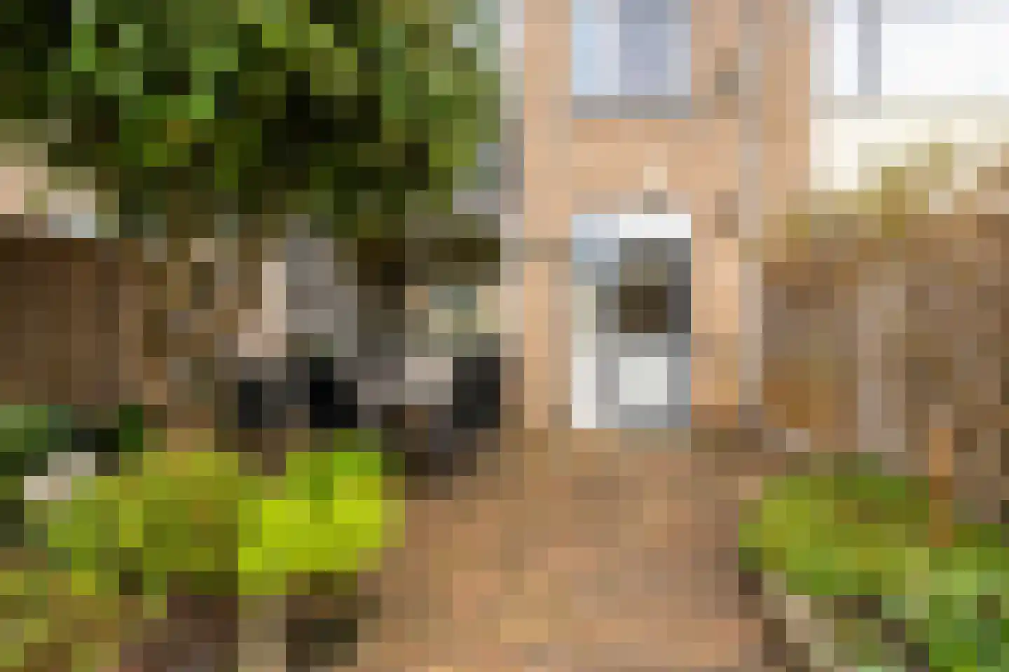 Diepenbrockstraat 20 Dedemsvaart thumbnail 35