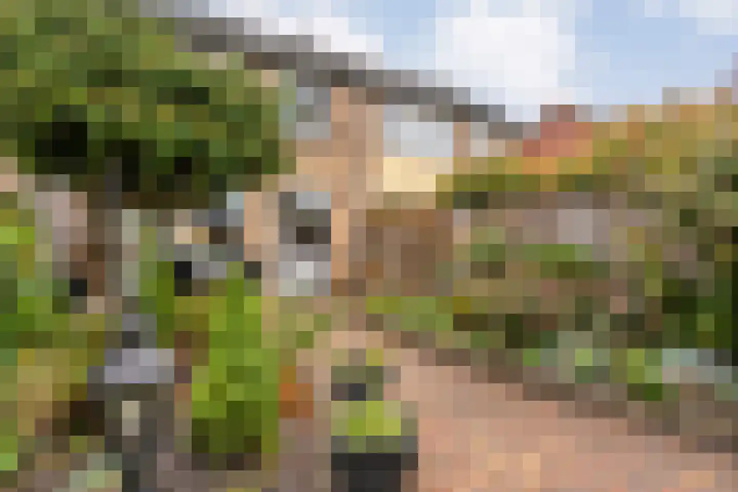 Diepenbrockstraat 20 Dedemsvaart thumbnail 38