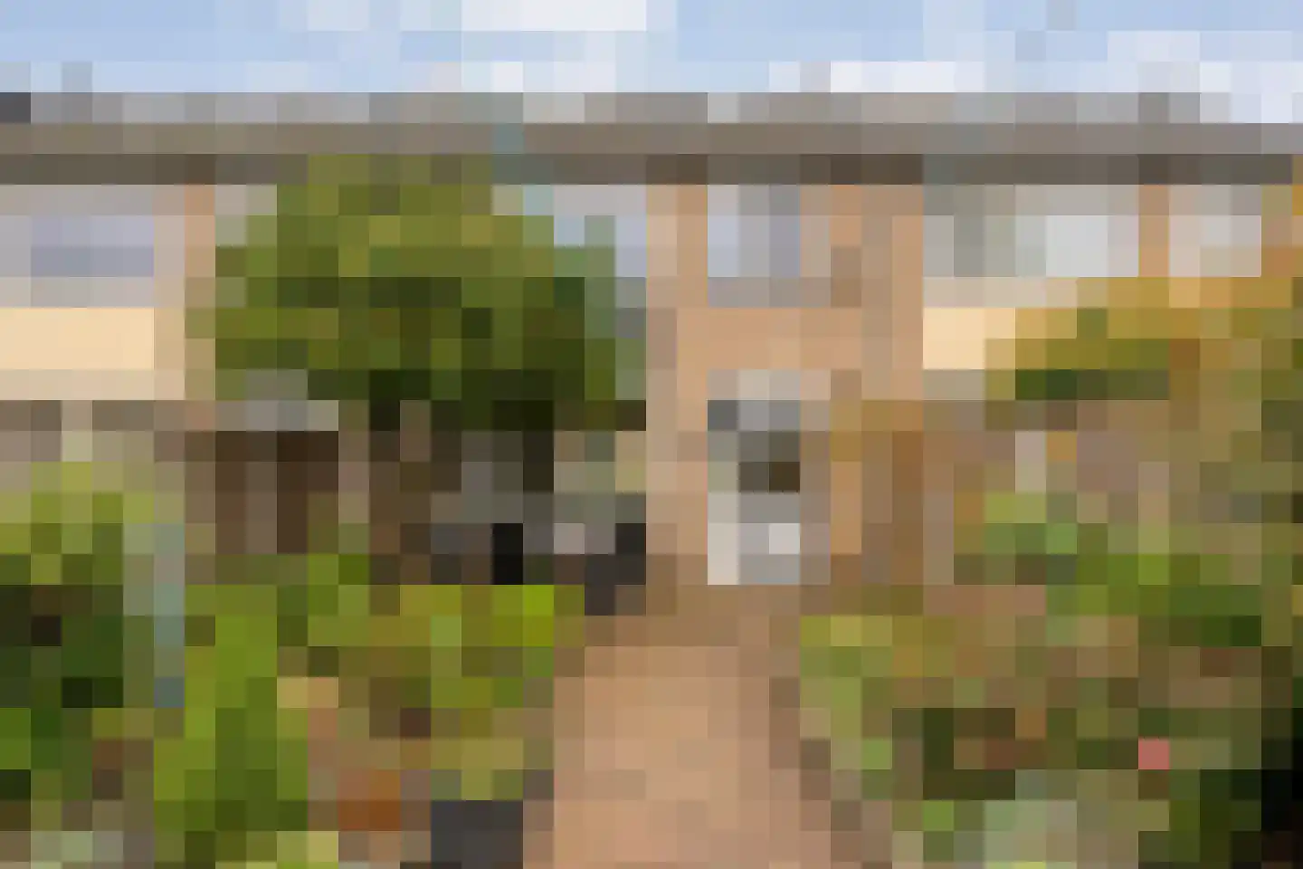Diepenbrockstraat 20 Dedemsvaart thumbnail 41