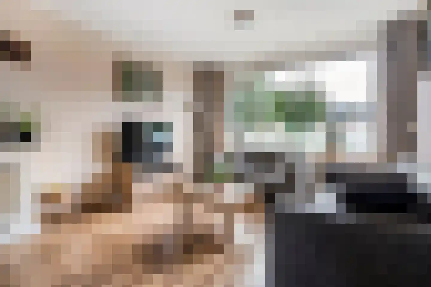 Diepenbrockstraat 20 Dedemsvaart thumbnail 6