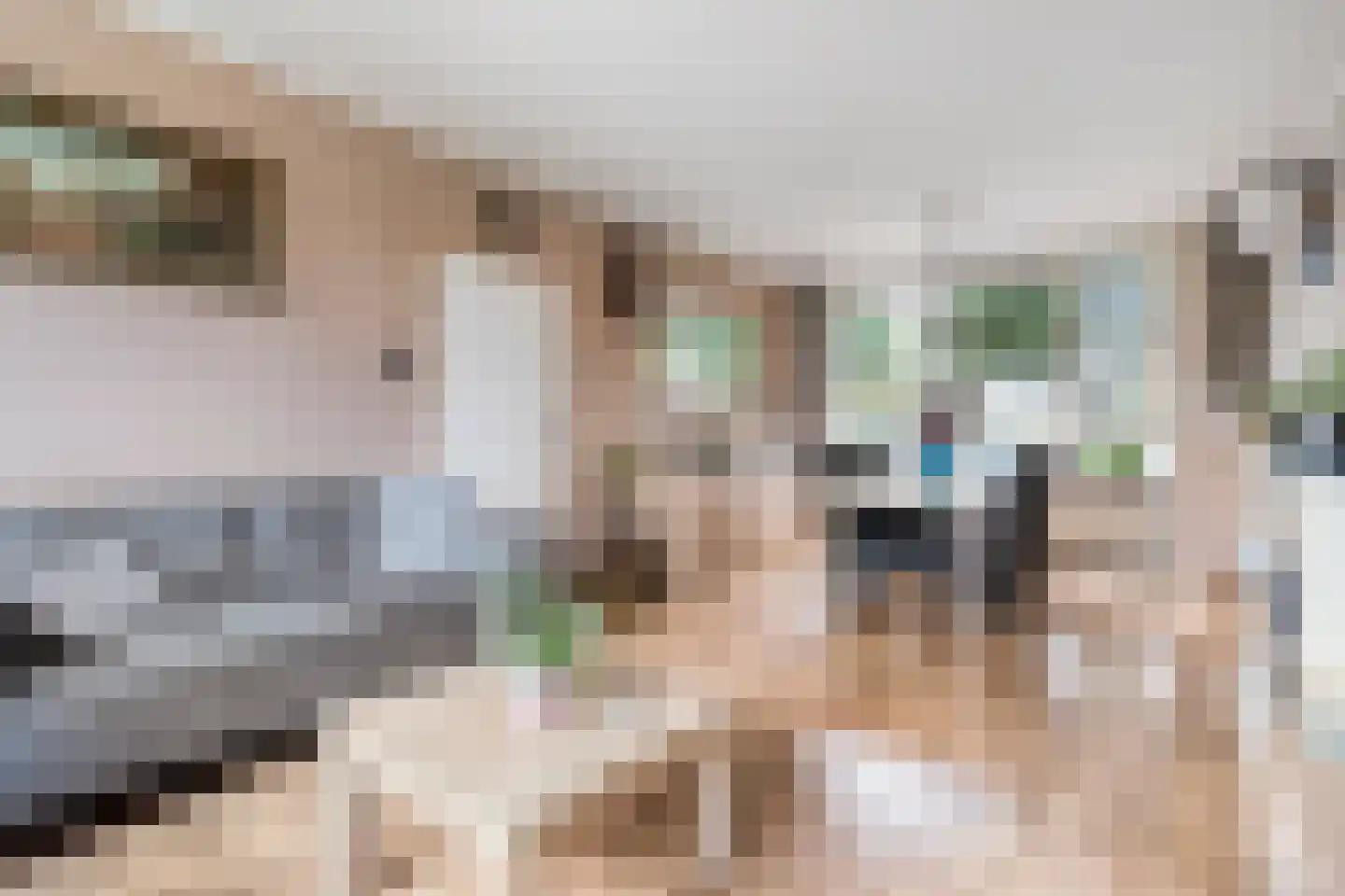 Diepenbrockstraat 20 Dedemsvaart thumbnail 7