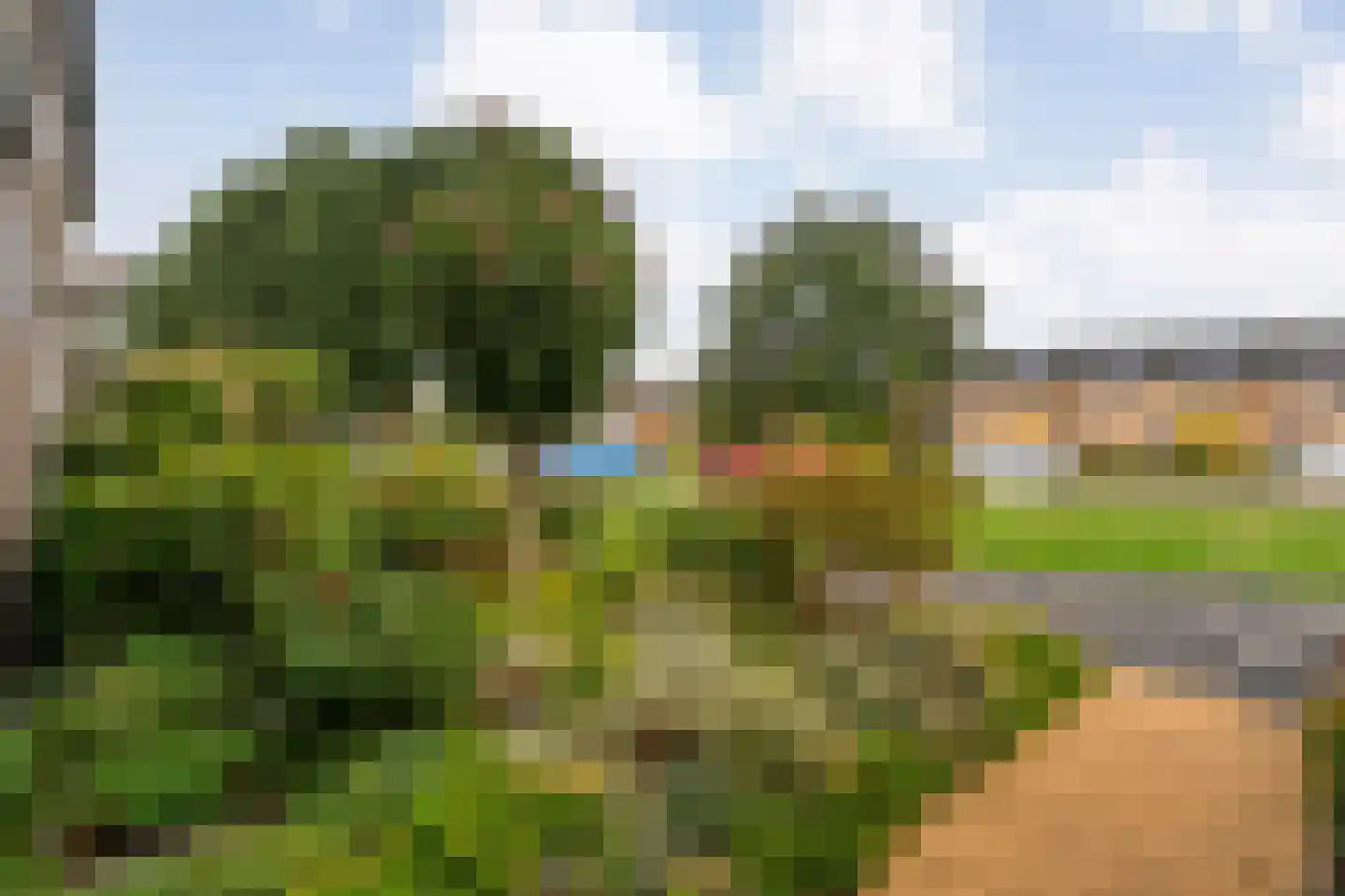 Diepenbrockstraat 20 Dedemsvaart thumbnail 8