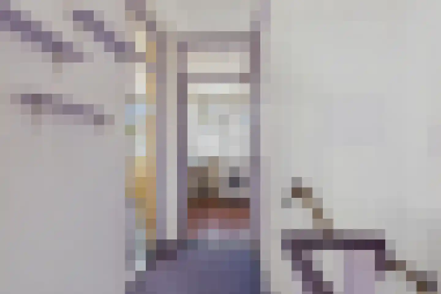 Diepenbrockstraat 20 Terneuzen thumbnail 15