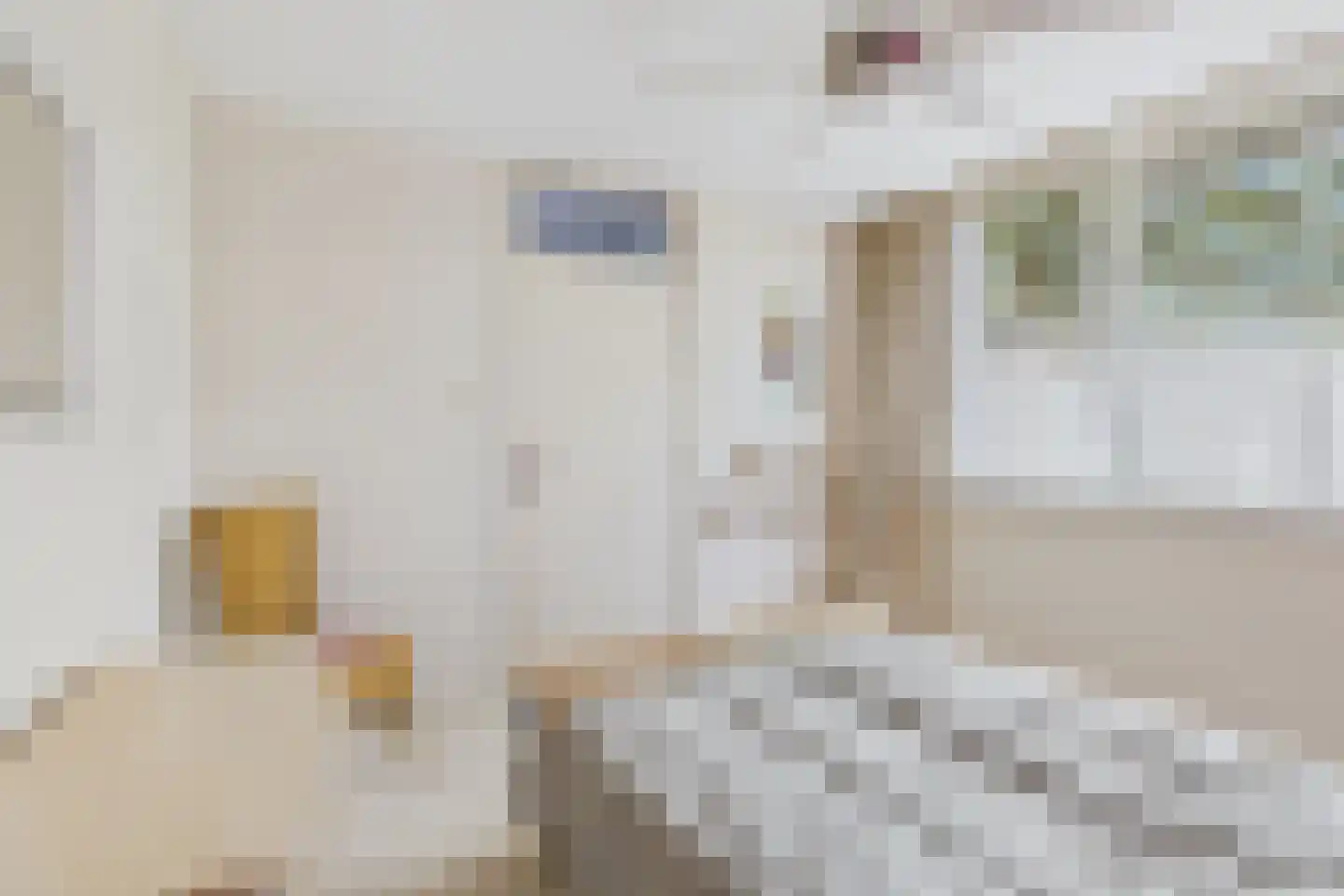Diepenbrockstraat 20 Terneuzen thumbnail 23