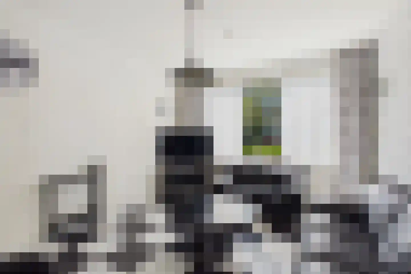 Diepenbrockstraat 20 Terneuzen thumbnail 8