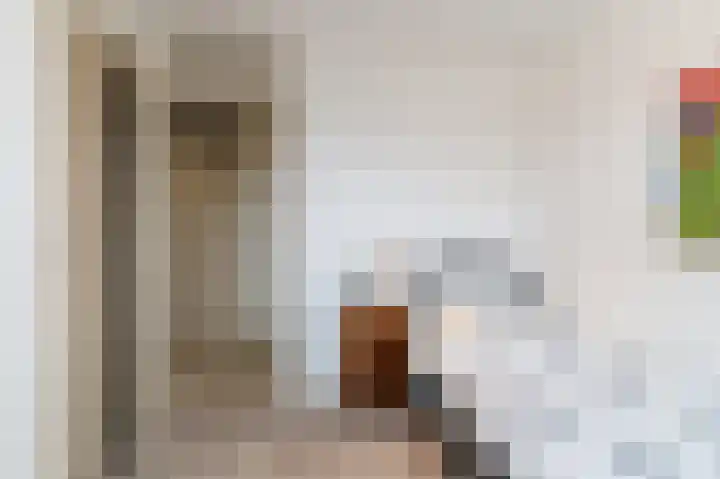 Diepenbrockstraat 21 Vught thumbnail 19
