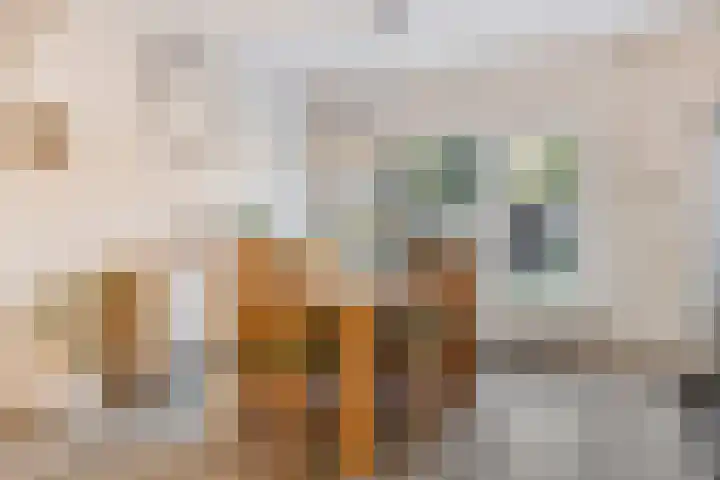 Diepenbrockstraat 24 Eindhoven thumbnail 10