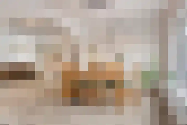 Diepenbrockstraat 24 Eindhoven thumbnail 13