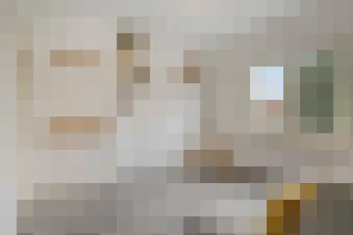 Diepenbrockstraat 24 Eindhoven thumbnail 18