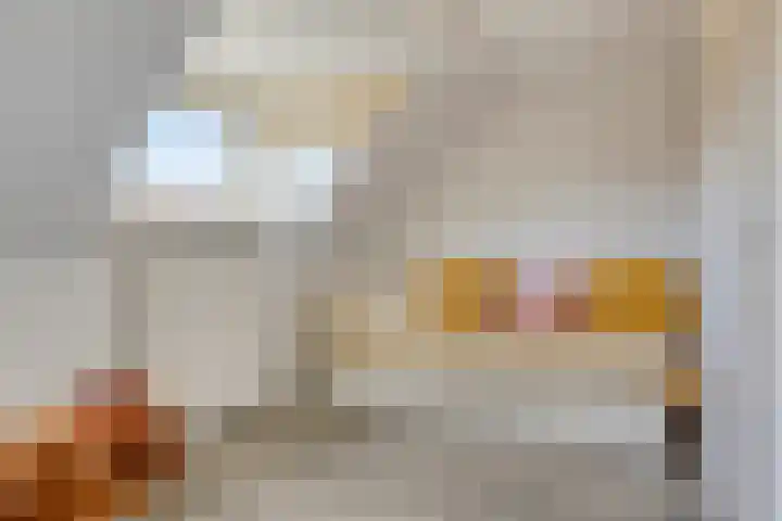 Diepenbrockstraat 24 Eindhoven thumbnail 24