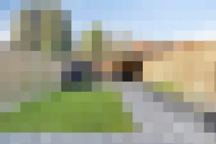 Diepenbrockstraat 24 Eindhoven thumbnail 26
