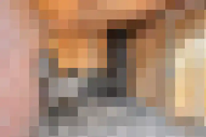 Diepenbrockstraat 24 Eindhoven thumbnail 27