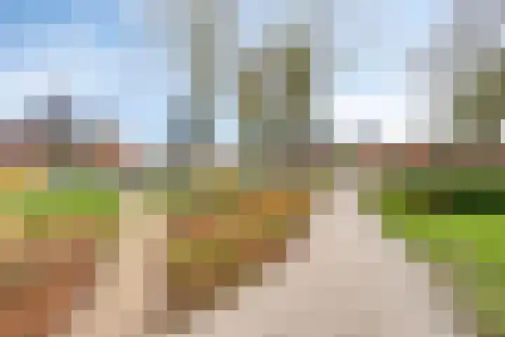 Diepenbrockstraat 24 Eindhoven thumbnail 30