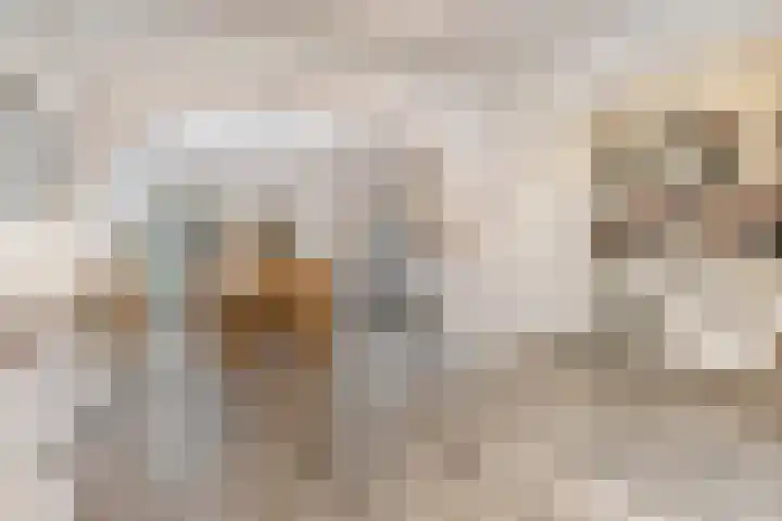 Diepenbrockstraat 24 Eindhoven thumbnail 4